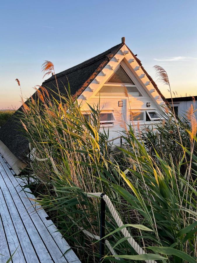 Seehütte Strandhaus direkt im Neusiedler See Rust Exterior foto